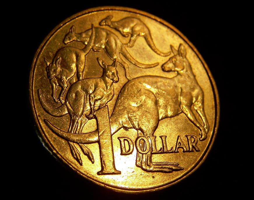 2010-$1-Poo-Roo!.